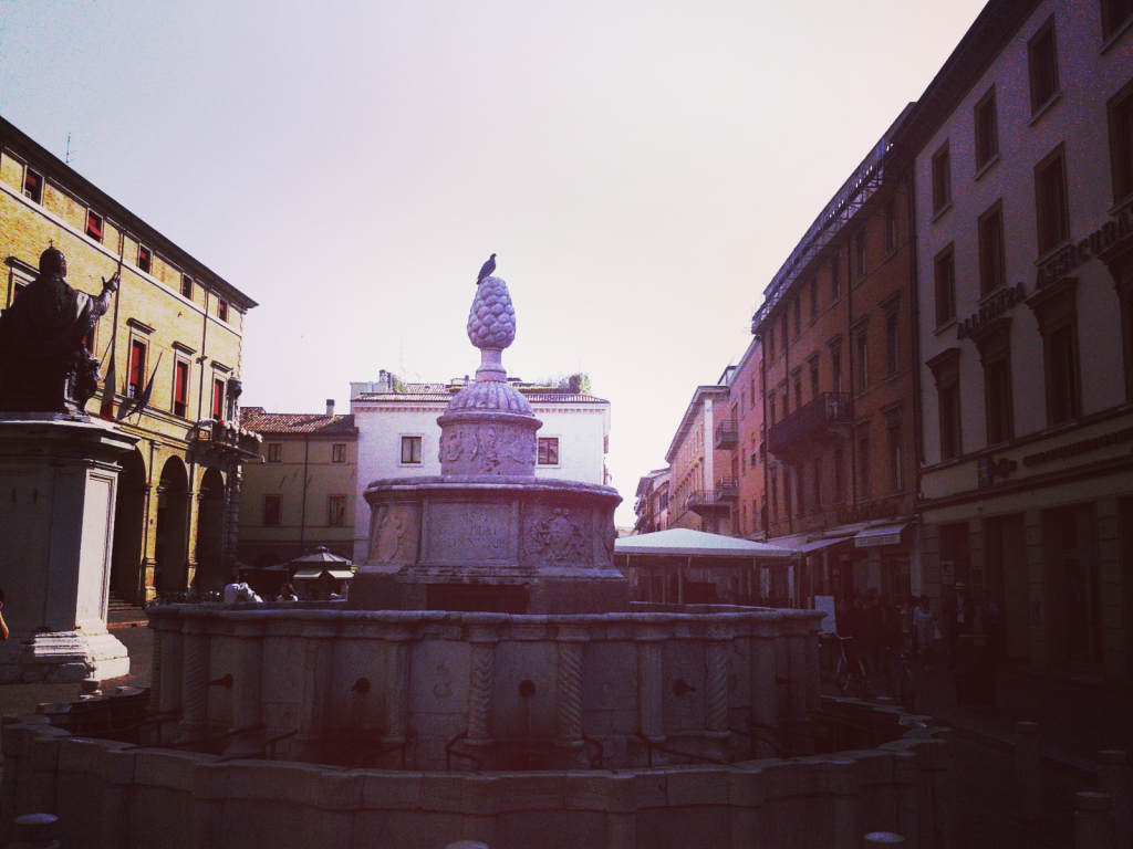 The Pigna Fountain - Piazza Cavour