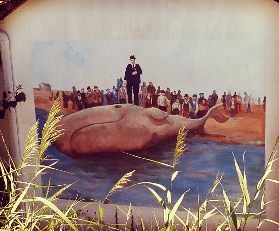 The Balena of the Barafonda in Rimini - A mural as part of the lungofiume dei artisti initiative
